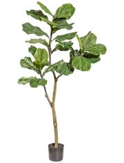 Kunstpflanze Ficus Lyrata, im Kunststofftopf, H: 120 cm