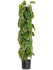 Kunstpflanze Anthurie, im Kunststofftopf, H: 90 cm