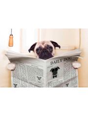 Fototapete Newspaper Dog, BlueBack, 7 Bahnen, 350 x 260 cm