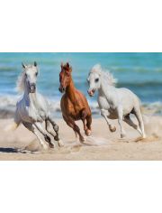 Fototapete Horse Herd Run Gallop, BlueBack, 7 Bahnen, 350 x 260 cm