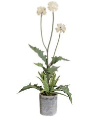 Kunstpflanze Distelbusch, im Zementtopf, : 70 cm, creme