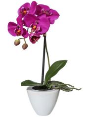 Kunstpflanze Orchidee Phalaenopsis, im Keramiktopf, Hhe 36 cm, lila