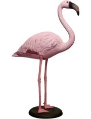 Teichfigur Flamingo