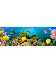 Vliestapete Sea Corals, 366x127cm, 4-teilig
