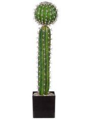 Kunstpflanze Kaktus, im Kunststofftopf, H: 60 cm