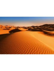 Vliestapete Desert Landscape, 366x254cm, 8-teilig