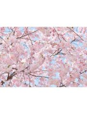 Fototapete Pink Blossoms, 8-teilig, 366x254 cm