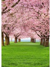 Fototapete Cherry Trees, 4-teilig, 183x254 cm