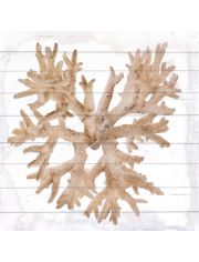 Holzbild Weie Koralle, 40x40 cm Echtholz