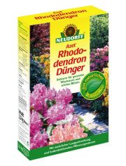 Rhododendron-Dnger