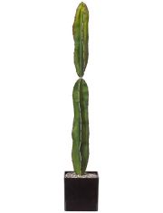 Kunstpflanze Kaktus Euphorbie, im Kunststofftopf, H: 40 cm