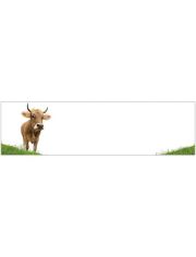 Kchenrckwand - Spritzschutz profix, Kuh, 220x60 cm