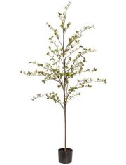 Kunstpflanze Viburnum, im Kunststofftopf, H: 180 cm