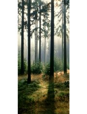 Fototapete Forest - Trtapete, BlueBack, 2 Bahnen, 90 x 200 cm
