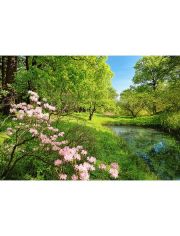 Fototapete Park in the Spring, 8-teilig, 366x254 cm
