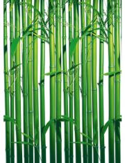 Fototapete Bamboo, 4-teilig, 183x254 cm