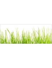 Badrückwand »mySPOTTI aqua Gras«, Höhe: 45 cm