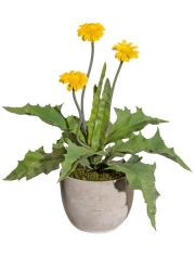 Kunstpflanze Margerite, im Zementtopf, Hhe 35 cm, gelb