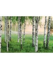 Fototapete Nordic Forest, 8-teilig, 366x254 cm