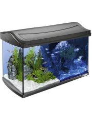 Aquarium AquaArt LED Discovery Line 60 l, anthrazit