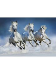 Fototapete Arabian Horses, 8-teilig, 366x254 cm