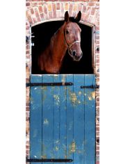 Fototapete Horse - Trtapete, BlueBack, 2 Bahnen, 90 x 200 cm