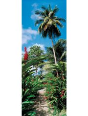 Fototapete Palm Path - Trtapete, BlueBack, 2 Bahnen, 90 x 200 cm