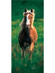 Fototapete Haflinger Horse - Trtapete, BlueBack, 2 Bahnen, 90 x 200 cm