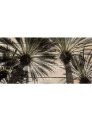 Holzbild Vintage Palmen, 40x80 cm Echtholz
