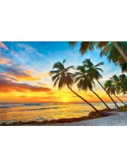 Fototapete Barbados Palm Beach, BlueBack, 7 Bahnen, 350 x 260 cm