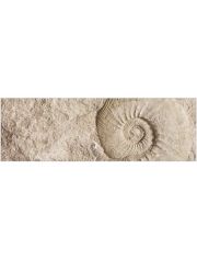 Badrckwand mySPOTTI aqua Fossil, Hhe: 45 cm